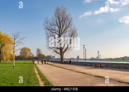 Outdoor Sunny View der Völker im Park und die Promenade am Ufer des Rheins mit Hintergrund der Stadtbild der Innenstadt in Düsseldorf, Deutschland. Stockfoto