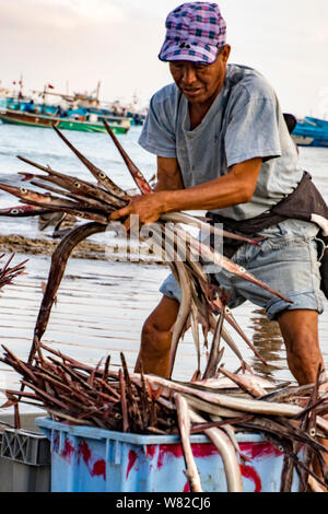 Puerto Lopez - August 19, 2016 - Kommerzielle Fischer Art seinen Fang von Fisch in Körbe Stockfoto