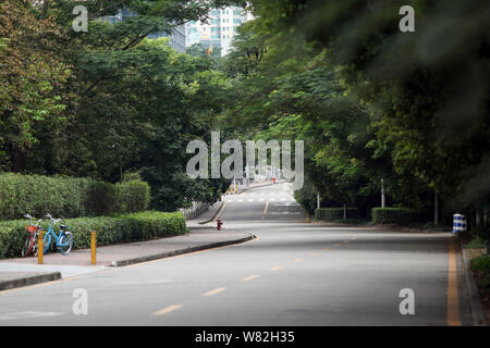 Blick auf eine leere Straße während der chinesische Mondjahr, auch als Frühlingsfest, in Shenzhen City, South China Hainan Provinz, 28. Januar bekannt Stockfoto