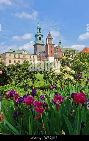 Krakau, Polen, 25. Mai 2019 - Blick auf das Königsschloss Wawel in Krakau, Polen. Stockfoto