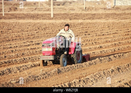 ---- Ein chinesischer Bauer fährt ein Traktor, ein Feld zu pflügen in Anyang City, Central China Provinz Henan, am 3. März 2015. China hat geschworen, bis zu Schritt Stockfoto