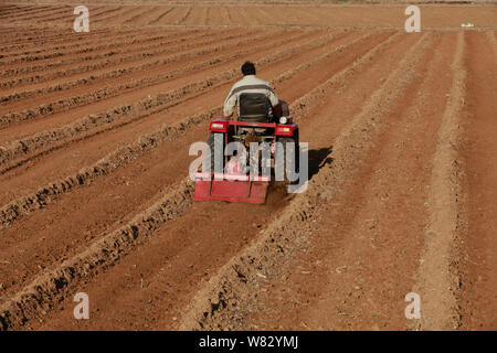 ---- Ein chinesischer Bauer fährt ein Traktor, ein Feld zu pflügen in Anyang City, Central China Provinz Henan, am 3. März 2015. China hat geschworen, bis zu Schritt Stockfoto