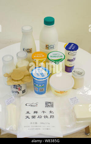 Anzeigen von Milchprodukten von Chinesischen cattleman Zeng Bo, ein Doktorat Inhaber, die in der Tierernährung von der Chinesischen Akademie der Wissenschaften, in seinem direkten-s Stockfoto
