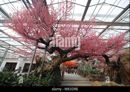 Blick auf ein Hallenbad Smog- Garten, der von einem Bergwerk in Qixian Grafschaft errichtet, Jinzhong City, North China Provinz Shanxi, 9. Dezember 2016. Eine co Stockfoto