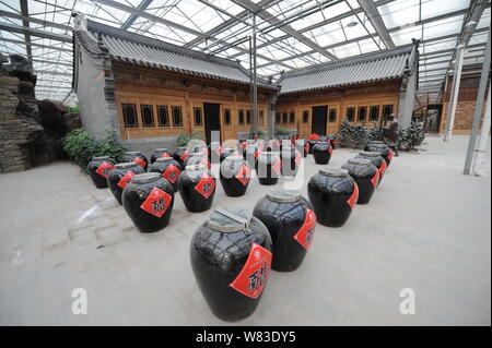 Blick auf ein Hallenbad Smog- Garten, der von einem Bergwerk in Qixian Grafschaft errichtet, Jinzhong City, North China Provinz Shanxi, 9. Dezember 2016. Eine co Stockfoto