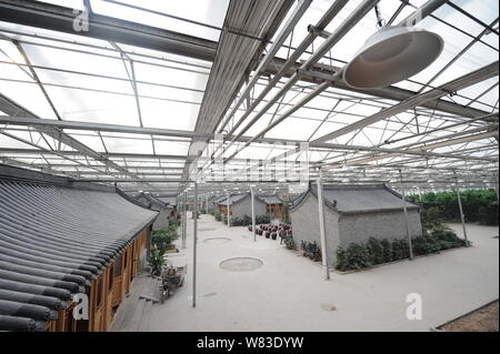 Blick auf ein Hallenbad Smog- Garten, der von einem Bergwerk in Qixian Grafschaft errichtet, Jinzhong City, North China Provinz Shanxi, 9. Dezember 2016. Eine co Stockfoto