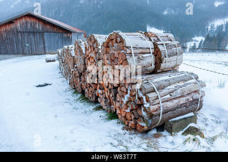 Split und gebündelt Brennholz auf eine Scheune in der verschneiten Landschaft Bayerns in Schneefall und Bergwald im Hintergrund. Stockfoto
