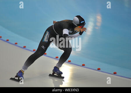 Japanische skater Miho Takagi konkurriert während der Frauen 3000 meter Division eine Übereinstimmung der ISU Weltschale Eisschnelllauf Wettbewerb in der Stadt Harbin, noch Stockfoto