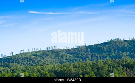 Tatra in den Morgen. Schönen grünen Tal auf schneebedeckte Berge. Stockfoto