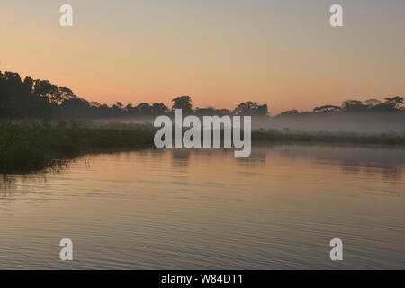 Chimbadas See bei Sonnenaufgang, Tambopata National Reserve, peruanischen Amazonas Stockfoto