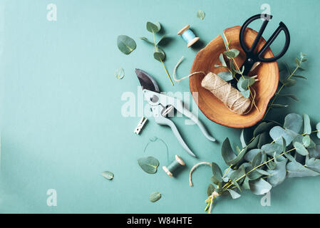 Eukalyptus Zweige und Blätter, Garten Gartenschere, Schere, Holz- Platte auf grünem Hintergrund mit Kopie Raum. Florist Konzept, Ansicht von oben. Stockfoto