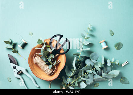 Eukalyptus Zweige und Blätter, Garten Gartenschere, Schere, Holz- Platte auf grünem Hintergrund mit Kopie Raum. Florist Konzept, Ansicht von oben. Stockfoto
