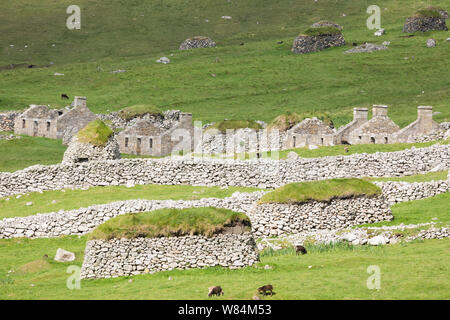 Die Straße auf Hirta, St Kilda Archipel, Großbritannien Stockfoto