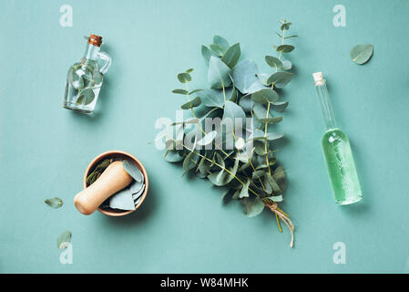 Schüssel, Flaschen von Eukalyptus ätherisches Öl, Mörtel, Bündel von frischem Eukalyptus Niederlassungen auf grünem Hintergrund. Natual organische Inhaltsstoffe für Kosmetik, s Stockfoto