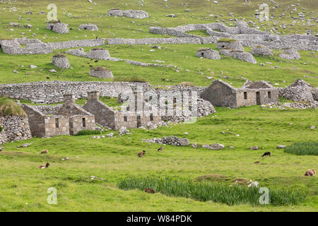 Verlassene Häuser auf Hirta, St. Kilda Stockfoto