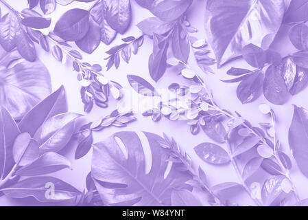 Kreative Gestaltung aus tropischen Blättern in der Trendfarbe Lila. Flach. Ansicht von oben. Mock up. Stockfoto
