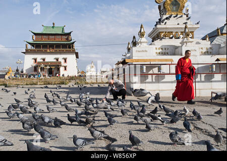 Man füttern verwilderter Tauben (Columba livia) vor dem Gandan Kloster in Ulan Bator, Mongolei, September Stockfoto