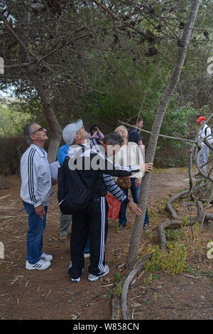 Mitglieder von BirdLife Malta, eine Tour von Ghadira Nature Reserve, durch Wärter, Ray Vellerduring Springwatch Camp von BirdLife Malta, Malta, April 2013 Led Stockfoto