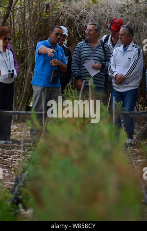 Mitglieder von BirdLife Malta, eine Tour der gebürtigen Baumschule Ghadira Nature Reserve, geführt von Ray Veller, der Aufseher, während BirdLife Malta Springwatch Camp, Malta, April 2013 Stockfoto