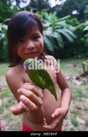 Junge Mädchen mit Yaguar pet-White-winged Parakeet (Sperlingsvögel versicolurus) im Dorf auf der Amazon stromaufwärts von Iquitos, Peru Stockfoto