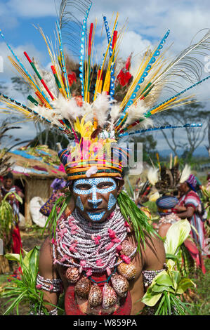 Mitglied der kulturellen Gruppe aus Tambul Egawag Bezirk im westlichen Hochland, in Mount Hagen Show - Singen - Singen, Papua Neu Guinea. August 2011 Stockfoto