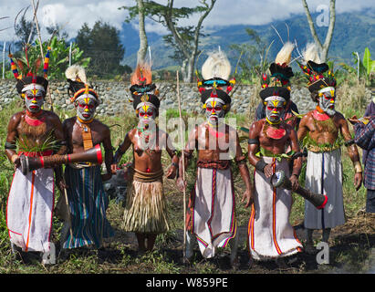 Western Highlanders bei Hagen in Western Highlands, Papua Neu Guinea. August 2011 Stockfoto