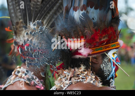 Roika Waria Singen - Gruppe singen aus Hagen am Hagen Show im westlichen Hochland von Papua Neu Guinea. Sichtbar auf der Kopfbedeckung sind Victoria gekrönt Taube (Goura Victoria), Federn (blaue Federn). Stockfoto