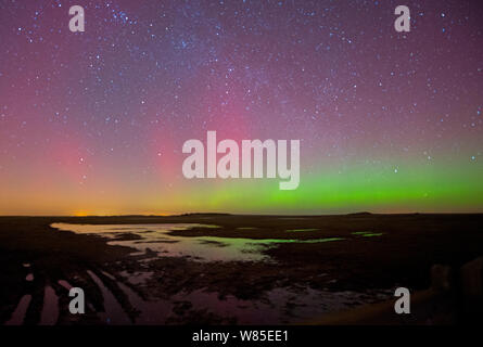 Nordlicht gesehen von cley Sümpfe finden, North Norfolk, England, UK. 27. Februar 2014. Stockfoto