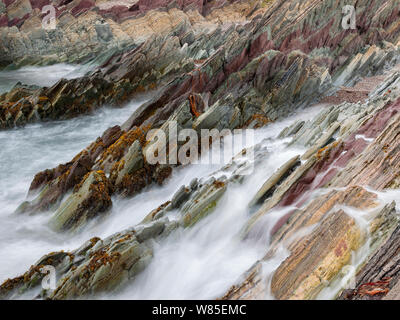 Schichten von Sedimentgestein in der Batsfjord Formation, Pers-Fjord. Einschließlich Violett und Grün mudstone, grau und rosa Sandstein, gelb-grau Dolomit, und grauen Kalkstein. Vardo Gemeinde, Varanger, Finnmark, Norwegen. August 2012 Stockfoto