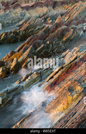 Schichten von Sedimentgestein in der Batsfjord Formation, Pers-Fjord. Auch violette und grüne Tonsteine, grau und rosa Sandstein, gelb-grau Dolomit, und grauen Kalkstein. Vardoe, Varanger, Finnmark, Norwegen. August 2012 Stockfoto