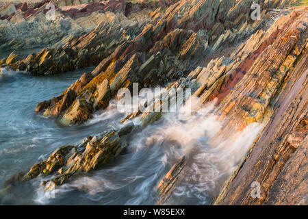 Schichten von Sedimentgestein in der Batsfjord Formation, Pers-Fjord. Auch violette und grüne Tonsteine, grau und rosa Sandstein, gelb-grau Dolomit, und grauen Kalkstein. Vardoe, Varanger, Finnmark, Norwegen. August 2012 Stockfoto