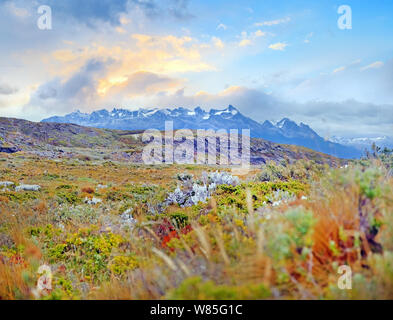 Blick auf den Sonnenuntergang über die patagonische Bergwelt von einer Insel in der Nähe von Ushuaia, von grünen und gelben Vegetation auf den Beagle Kanal bedeckt, in Tierra del Stockfoto