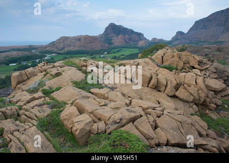 Landschaft von Serpentine Felsen auf der Insel Leka, Norwegen, August 2014. Stockfoto