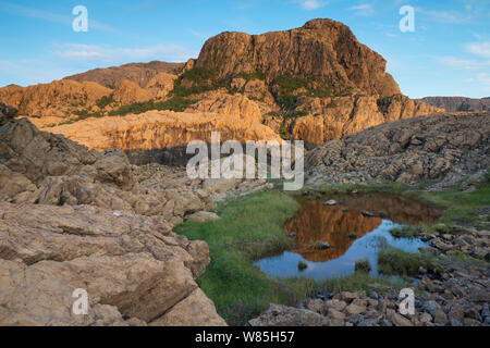 Landschaft von Serpentine Felsen auf der Insel Leka, Norwegen, August 2014. Stockfoto