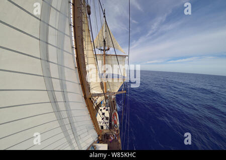 Fish Eye View der Segel von corwith Cramer, 134-Fuß-Stahl brigantine Forschungsschiff, Sargassosee, Bermuda, April. Stockfoto