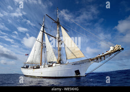 Corwith Cramer, eine 134-Fuß-Stahl Brigantine, Sargassosee, Bermuda, April 2014. Stockfoto