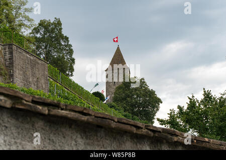 Rapperswil SG/Schweiz - 3. August 2019: Das Schloss in Rapperswil und die grüne Sommer Gärten Stockfoto