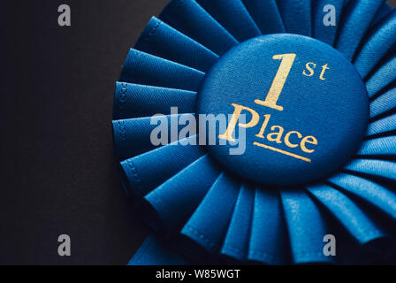 Meister Platz 1 blaue Rosette mit gold Text auf schwarzem Hintergrund Stockfoto