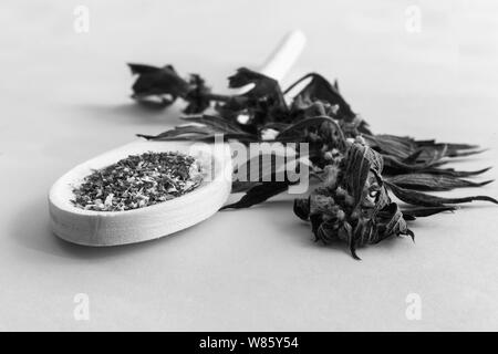 Wertvolle Heilpflanze - motherwort mit Blumen und Blätter auf einem weißen Hintergrund. Weiter ist eine Pflanze, die in getrockneten und zerkleinerten Form für die Vorbereitung von in Stockfoto