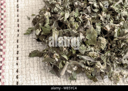 Getrocknete Blüten und Blätter von motherwort, eine wertvolle Heilpflanze mit einer beruhigenden Wirkung. Es ist für die Zubereitung von Infusionen verwendet. Stockfoto
