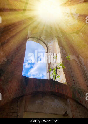 Verbrannt Innenraum der alten katholischen Kirche in der Ukraine, Hintergrund für mystische kozharovaniya aufgegeben. Stockfoto