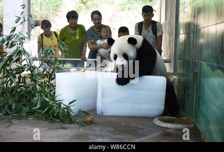 Ein riesiger Panda liegt auf Eis Bausteine zur Abkühlung an einem heißen Tag im Zoo in Wuhan Wuhan City, Central China Provinz Hubei, 26. Juli 2016. Stockfoto