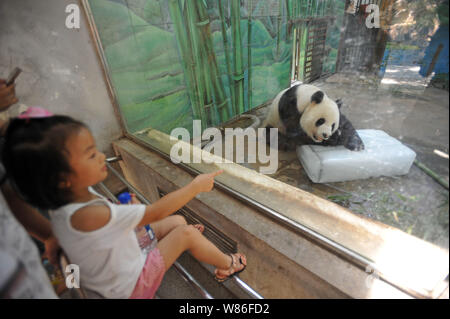 Besucher auf ein riesiger Panda liegend auf ein Eis Block nach unten auf einen sengenden Tag im Zoo in Wuhan Wuhan City, cooler Look, der Central China Provinz Hubei, 2 Stockfoto