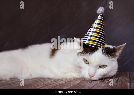 Sehr wütend auf der Suche weiß tabby Katze trägt eine goldene Geburtstag oder Silvester Party Hut auf dem Kopf Stockfoto