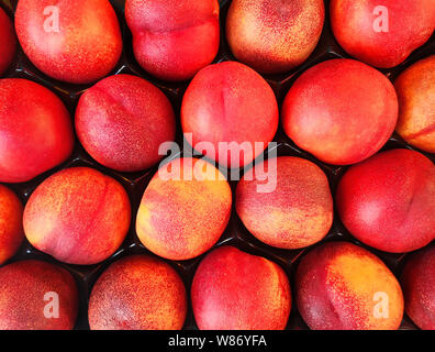 Frische dellicious Nektarinen auf Farmers Market. Stockfoto