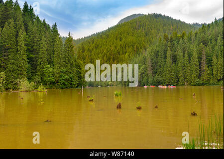 Blick auf See Rosu Rumänien im sonnigen Sommertag Stockfoto