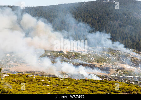 Brandrodung Landwirtschaft in den Cevennen, Schutzzone in der Nähe von Pont-de-Montvert-Sud Mont Lozere (Südfrankreich). Brandrodung farmin Stockfoto