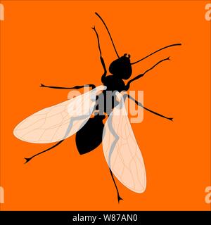 Vector Illustration. Ant mit Flügeln silhouette isoliert auf Orange. Stock Vektor