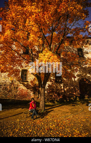 Wyborg, Russland - Nov 6, 2016. Alte Burg mit Bäume im Herbst in Wyborg, Russland. Stockfoto