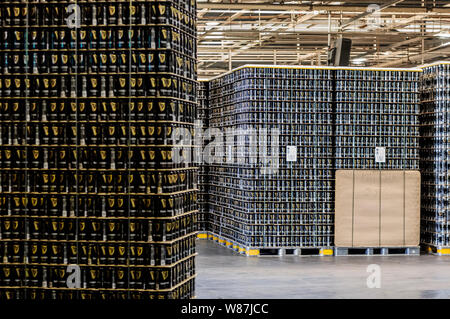 Reihen von Guinness Dosen in einem Lager gelagert und auf Paletten befestigt. Stockfoto